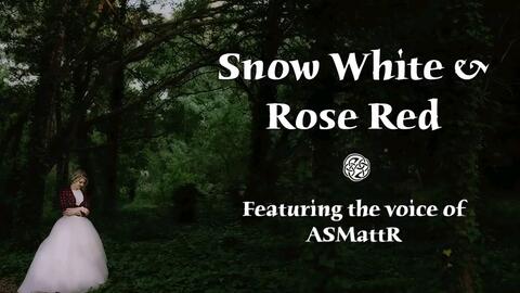 格林童话白玫瑰红玫瑰道理 白雪与红玫告诉我们什么道理