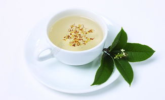 桂花茶搭配什么最佳 三种人坚决不能吃桂花茶
