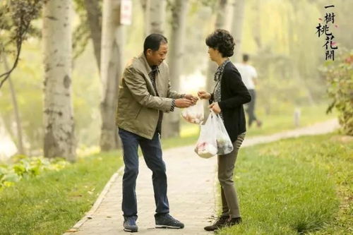 桃花开电视剧免费观看 一树桃花开全集播放免费