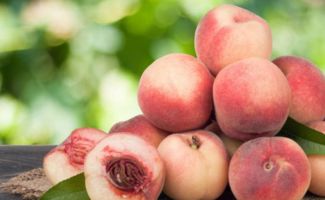 桃子季节什么时候结束 桃子品种与结果的关系
