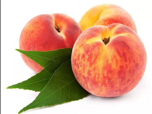 桃子排名第一名 十大最甜的桃子