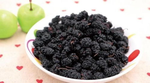 桑葚干一天吃几颗 男人吃桑葚干有什么好处