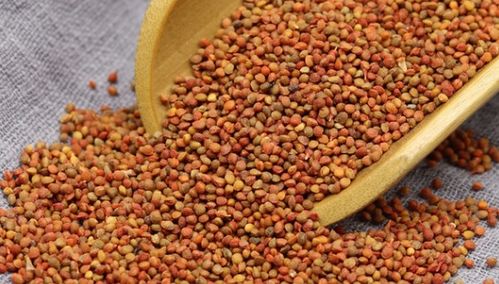 桑枝的七大功效 桑枝的神奇功效