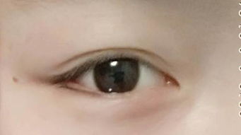 桃花眼长什么样 标准的桃花眼图片