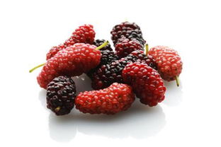 桑葚是热性还是凉性 桑葚是热性水果还是寒性水果