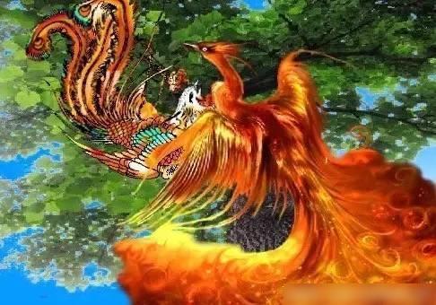 梧桐的千古名句 梧桐树招凤凰的名句