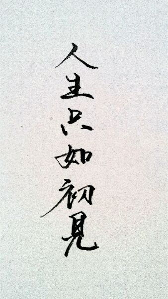 梅子黄时雨的全部作品 人生若只如初见by梅子黄时雨