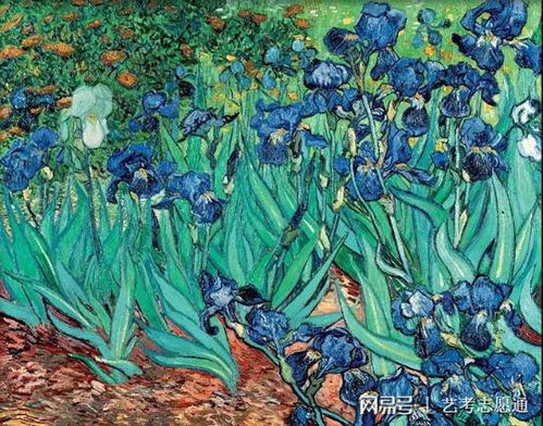梵高《鸢尾花》 为什么说鸢尾花不吉利