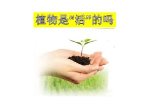 植物人知道自己活着吗 植物人醒后的自述
