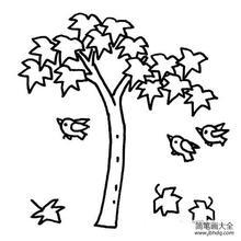 梧桐树叶简笔画 一步一步教画梧桐树