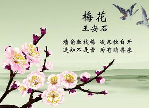 梅花暗指什么人 梅花一般比喻什么人
