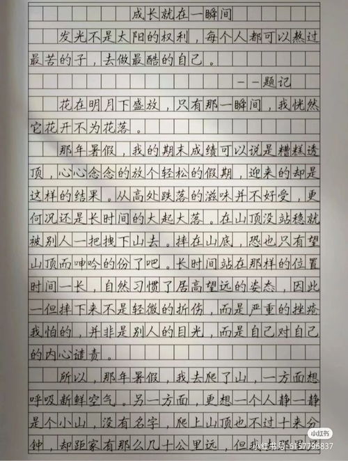 植物的生长过程作文400字 记录一个植物的生长过程