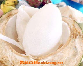 椰子肉十大神奇功效 椰子肉的危害