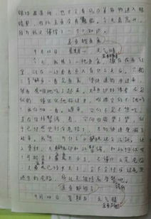 植物观察摘抄20字 暑假植物生长观察日记