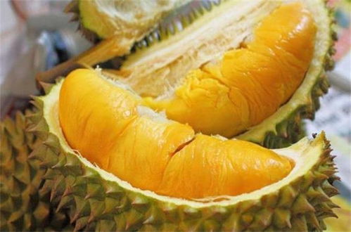 榴莲与什么食物相克表 吃完榴莲千万别碰5种食物