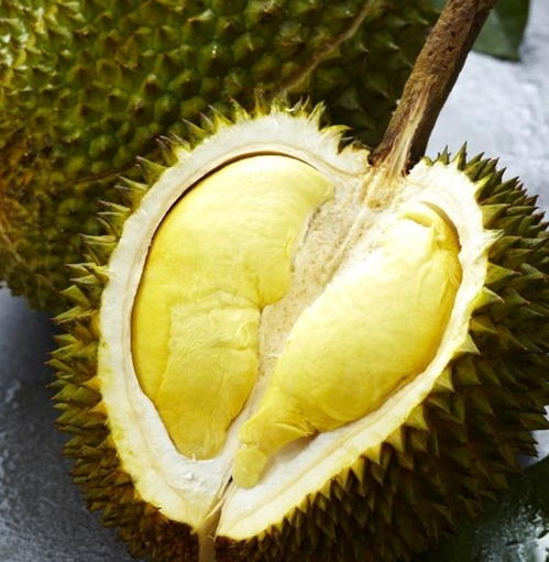 榴莲要怎么选才好 榴莲挑选八大诀窍