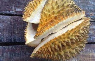 榴莲核的吃法及禁忌 榴莲核最简单的吃法