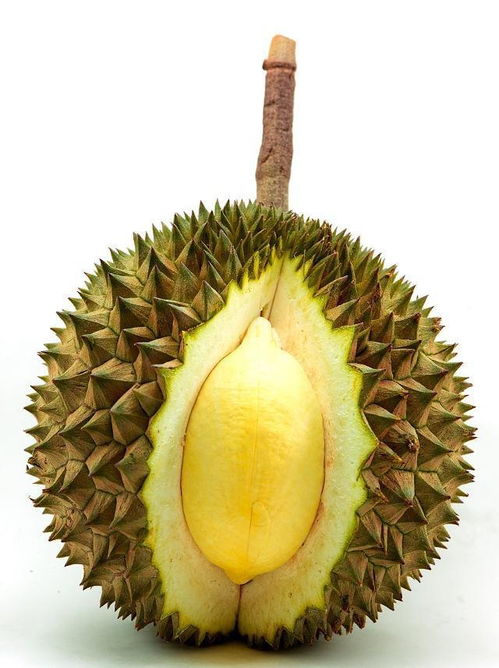 榴莲和什么食物相克 吃完榴莲千万别碰5种食物