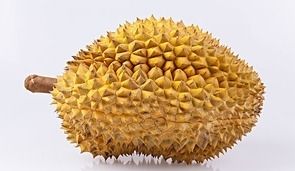 榴莲是冷藏还是冷冻保存 剥好的榴莲能冷冻吗