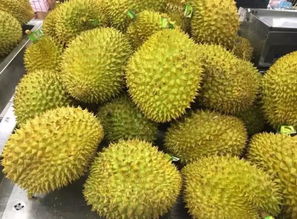 榴莲怎么挑才好吃 榴莲挑选八大诀窍图片