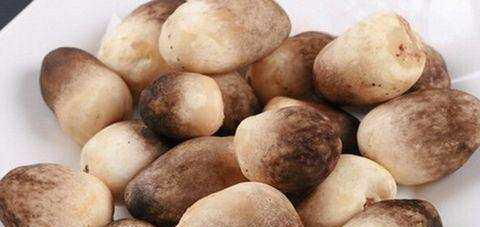 橙盖鹅膏菌可以吃吗 可食用的鹅膏菌