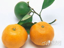 橘和桔的区别是什么 桔子与橘子有何区别