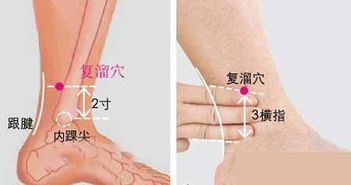 橘络的功效和主治 橘络对肺结节有效果吗