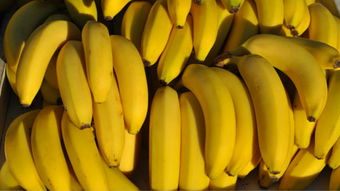 每天一根香蕉伤肾 一天吃3根香蕉过量吗