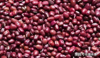 气血不足吃红豆还是赤小豆 长期吃赤小豆的害处
