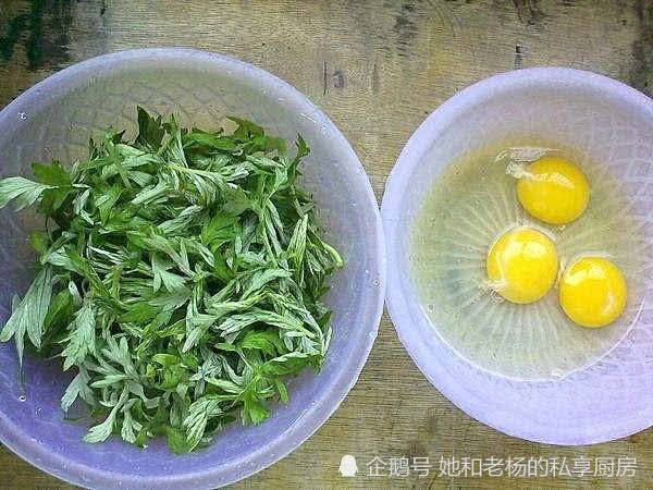每天喝一杯艾叶水好吗 晒干的艾叶能煮水喝吗