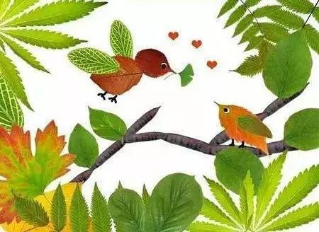 比喻树叶的形状像什么 形态各异的叶子像什么