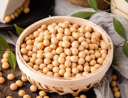 毛豆和黄豆哪个雌激素多 雌激素最高的十大食物