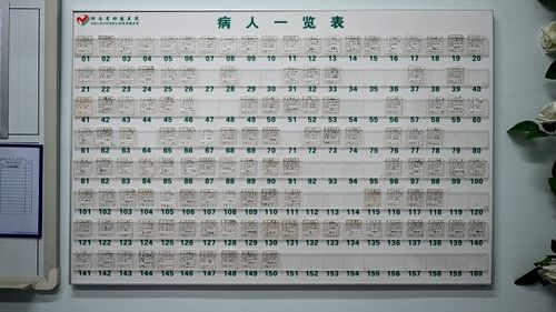 水培豆芽观察记录13天 观察豆芽的记录表13天