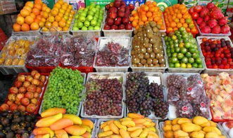 水果1000个品种 1000个水果名字