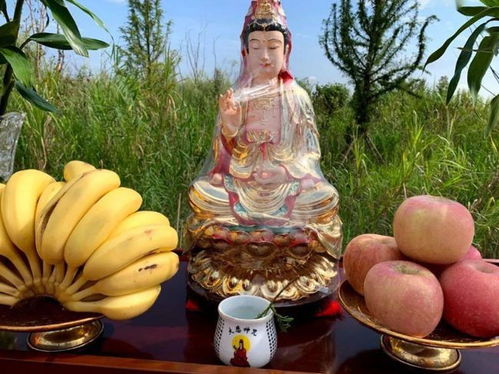 求金榜题名摆供水果 供菩萨最灵的三种水果