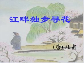 江畔独步寻花第二首 江畔独步寻花其一