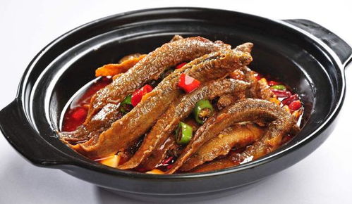 泥鳅吃什么蔬菜 泥鳅吃什么水果