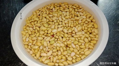 泡过的黄豆吃法大全炒菜 干黄豆的12种最佳吃法