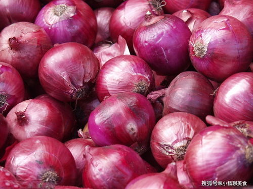洋葱炒什么最好吃 洋葱最佳搭配蔬菜