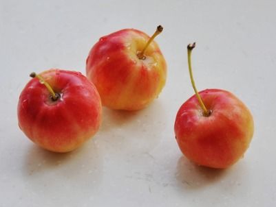 海棠果治什么病 不能吃的海棠果图片