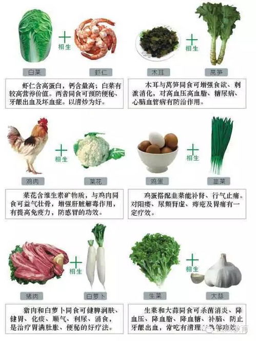 洋蓟和什么食物相克 洋蓟的副作用和毒性