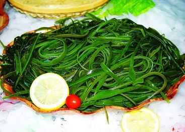 海带芽的功效和作用 吃海带芽的禁忌