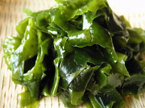 海藻菜和裙带菜的区别 海藻菜图片