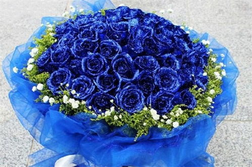 淡蓝色玫瑰花语是什么意思 蓝色玫瑰真正的花语