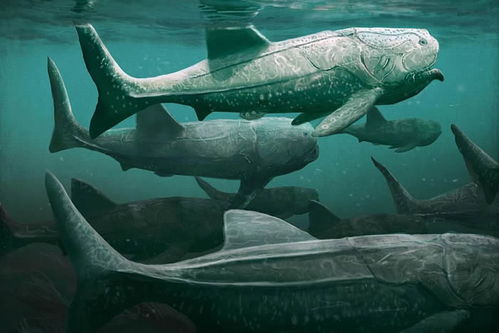 海洋十大不明生物 5个被拍到的巨大生物