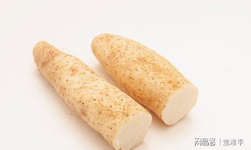 淮山长什么样 大淮山图片