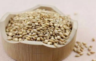 湿气重能用浮小麦吗 浮小麦性温还是性寒