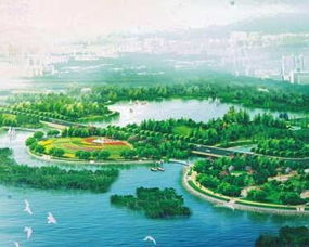 深圳哪个红树林最好 红树林和深圳湾的区别