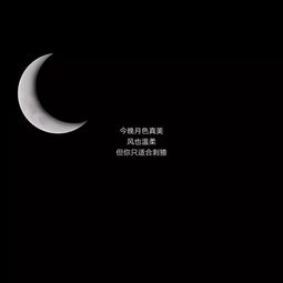 满天星的朋友圈文案 抖音很火的满天星文案