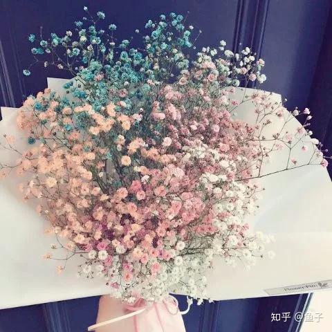 满天星放着不管会变成干花吗 满天星为什么叫死人花